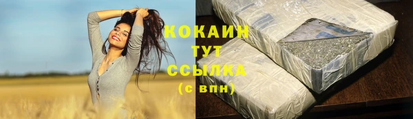 дживик Каменногорск