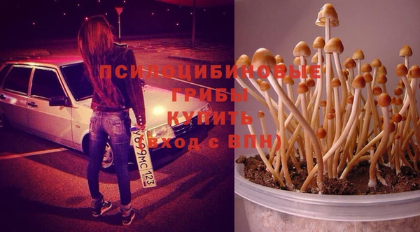 первитин Киренск