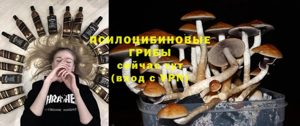 первитин Козловка