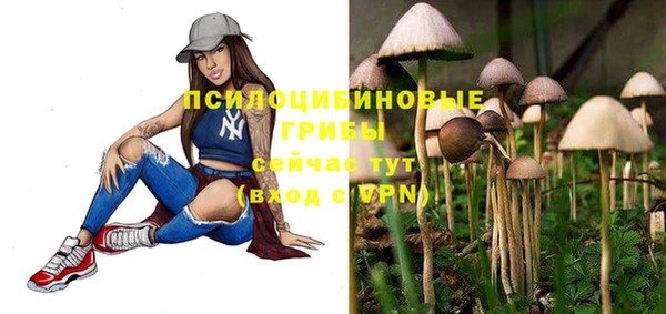 ПСИЛОЦИБИНОВЫЕ ГРИБЫ Киреевск